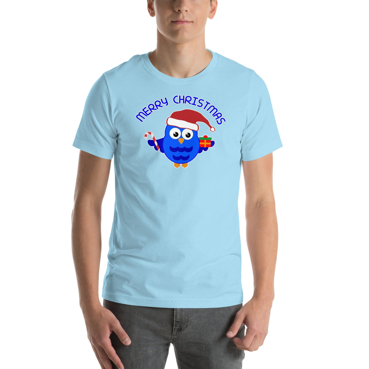 Light blue Christmas owl T-shirt with “Merry Christmas” text and owl graphic