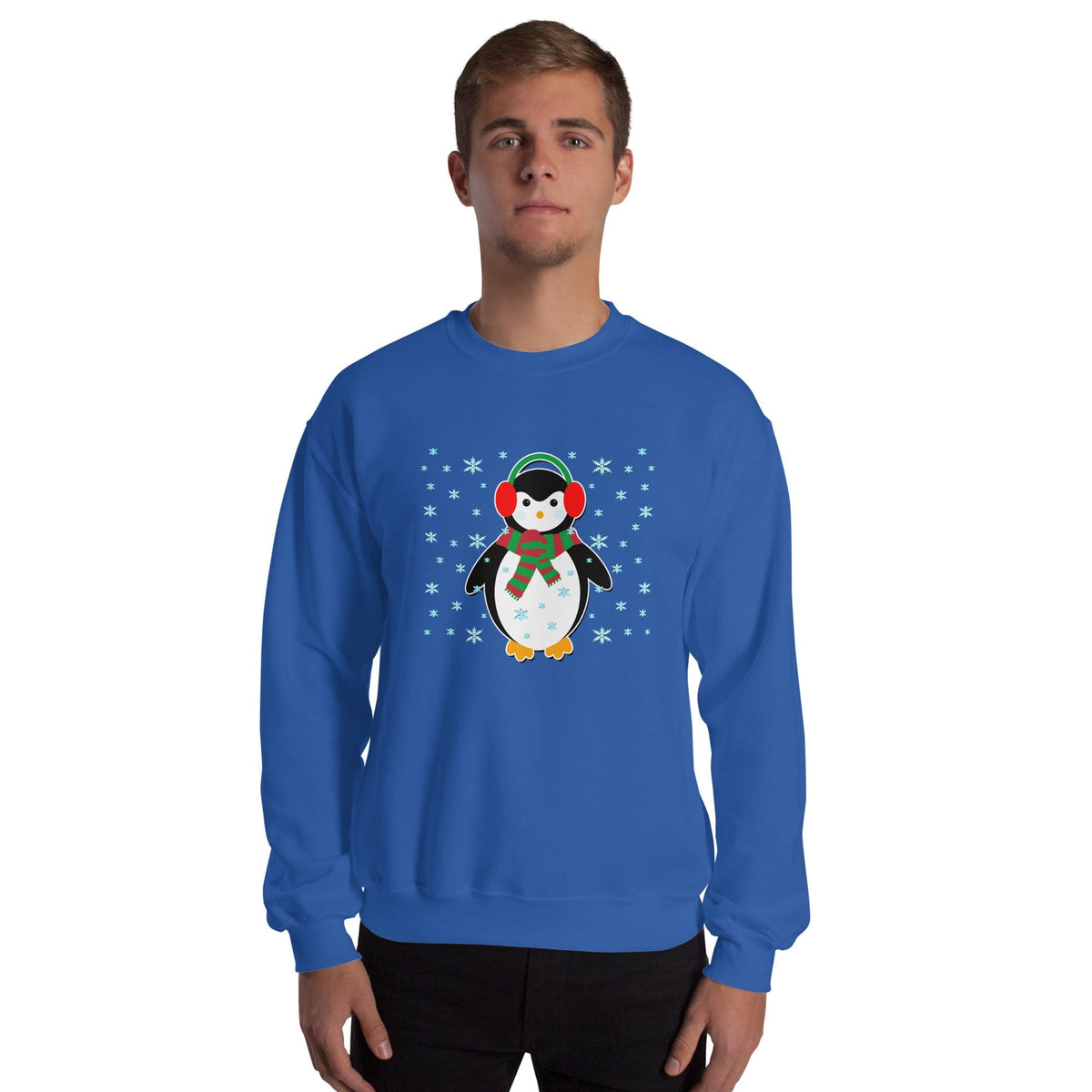 Blue sweatshirt with penguin graphic, crewneck, long sleeves