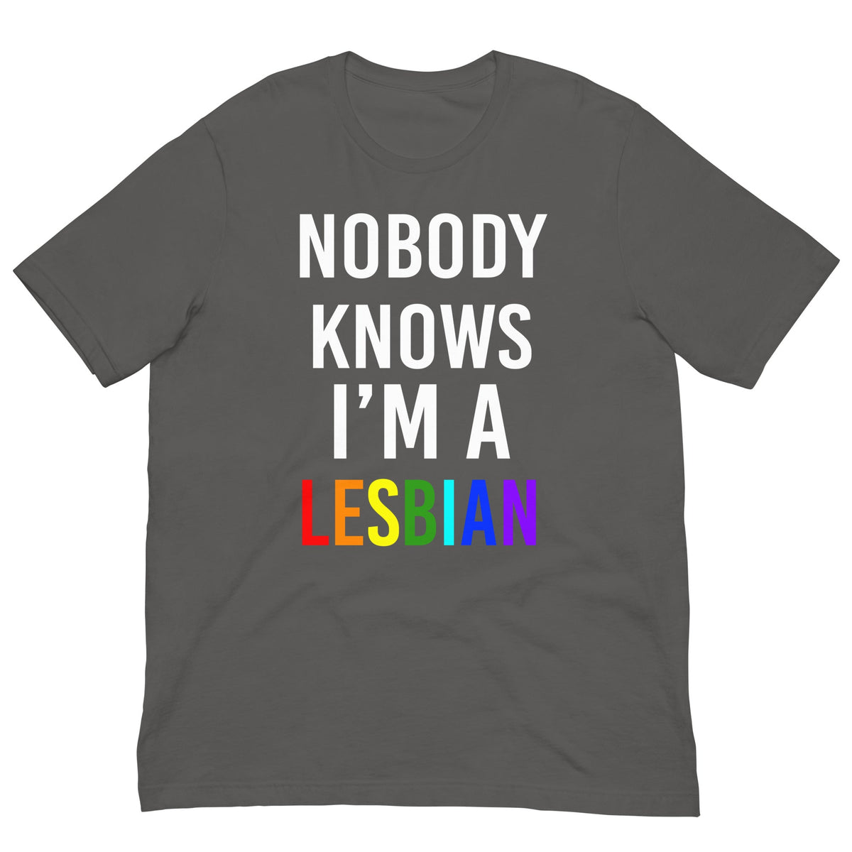 Dark gray t-shirt with 'NOBODY KNOWS I'M A LESBIAN' front graphic