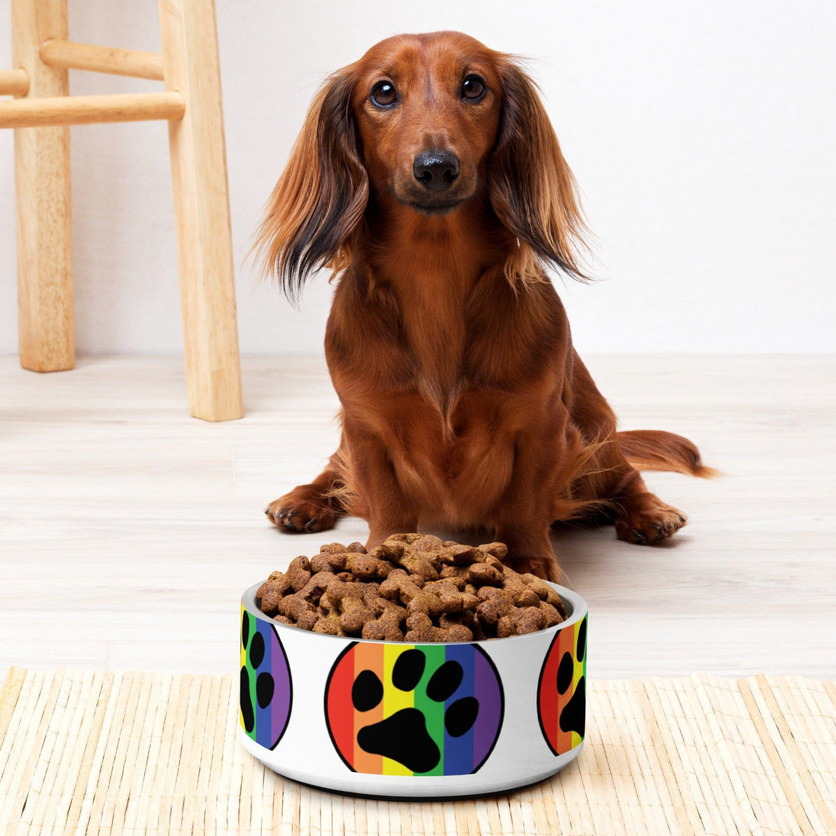 Rainbow paw print pet bowl filled with brown kibble, near a dog