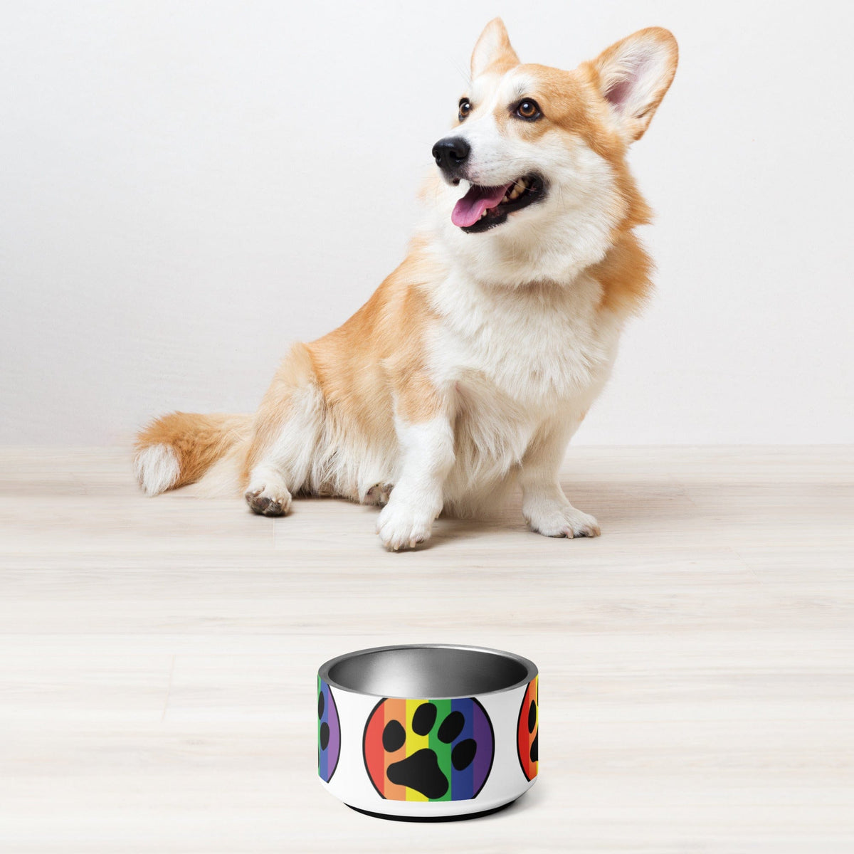 Rainbow paw print pet bowl with silver interior, empty