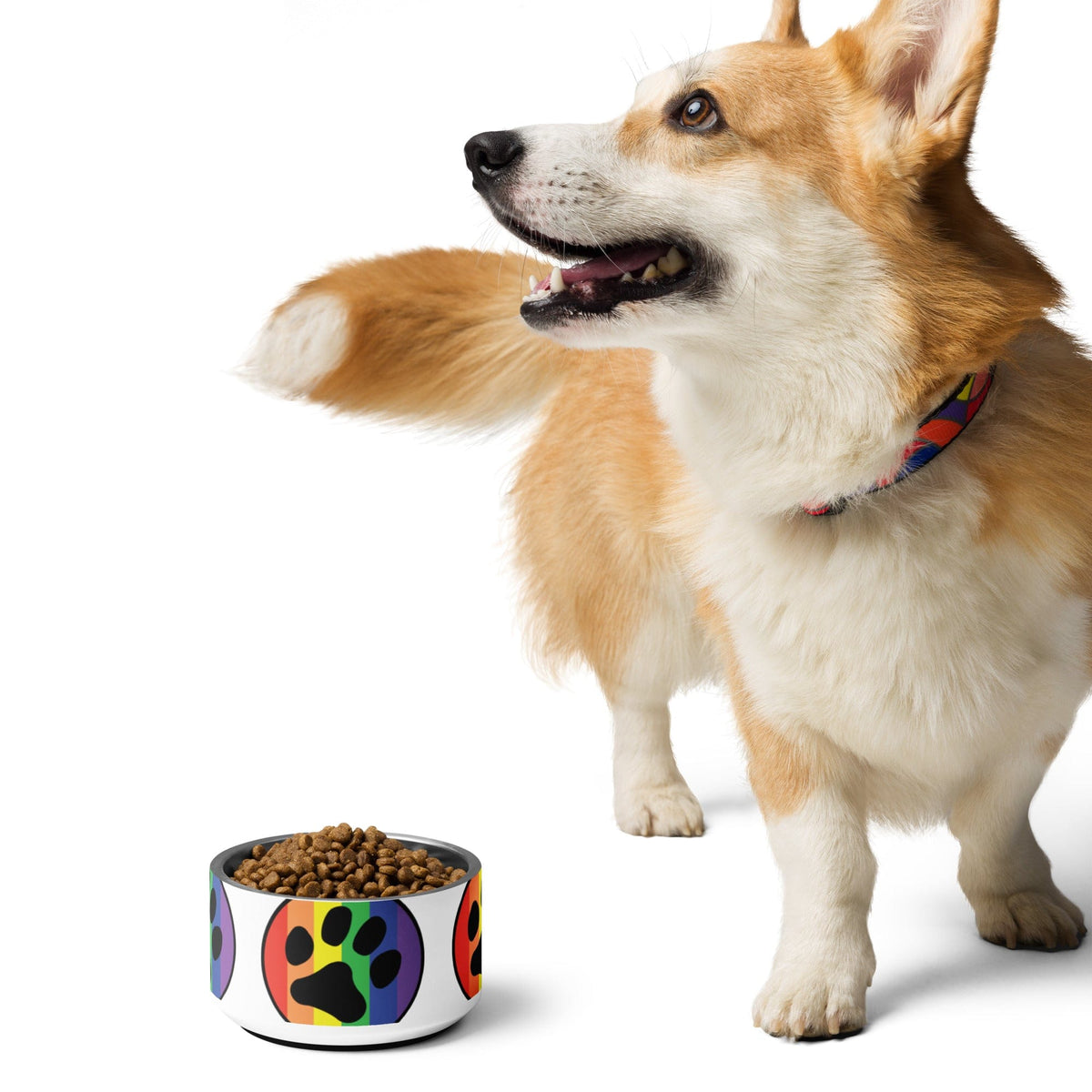 Rainbow paw print pet bowl with brown kibble, beside a standing dog