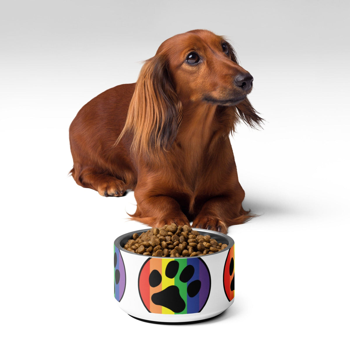 Rainbow paw print pet bowl with brown kibble, in front of a seated dog