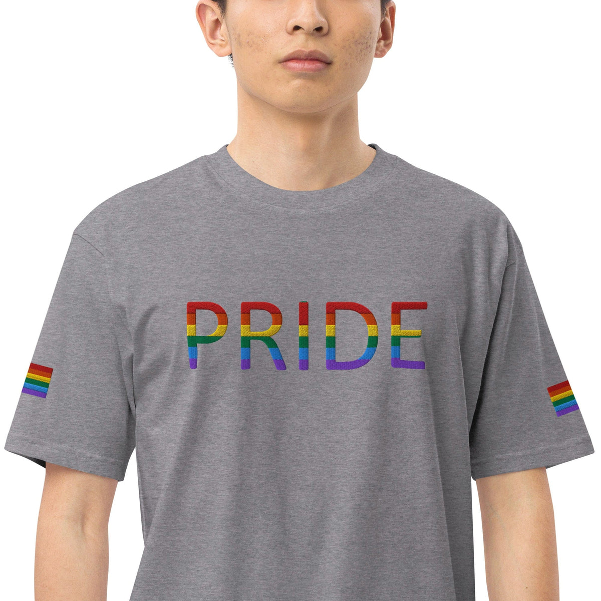 Men's heavyweight T-shirt in dark gray with multicolor PRIDE logo and rainbow sleeve accents