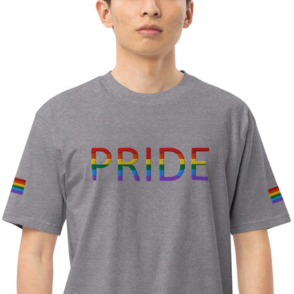Men's heavyweight T-shirt in dark gray with multicolor PRIDE logo and rainbow sleeve accents