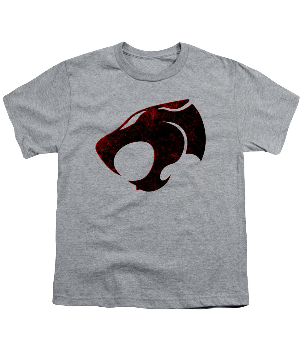 Youth T-shirt in heather gray with distressed red graphic on front