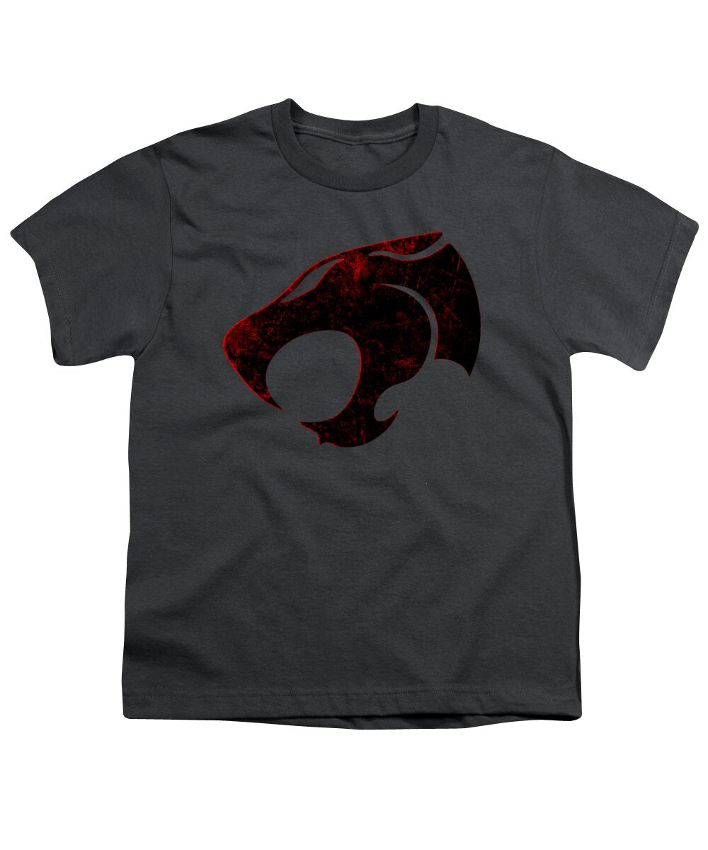 Youth T-shirt in charcoal gray with distressed red graphic on front